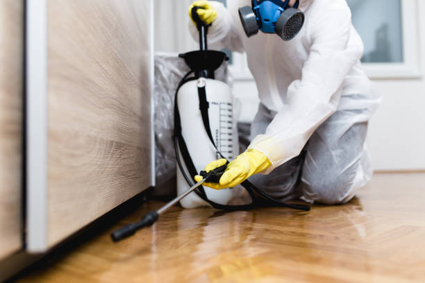 Best Wasp Removal Services  in Montrose, CO