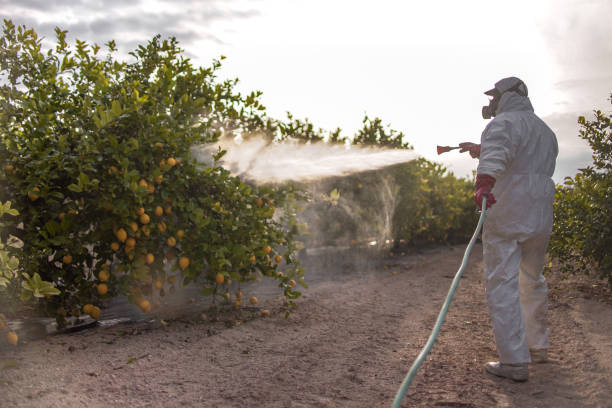 Best Best Pest Control Companies  in Montrose, CO