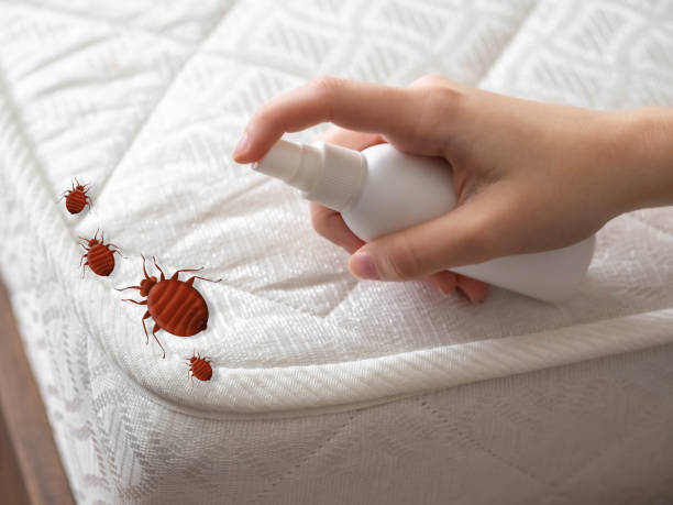 Best Residential Pest Control  in Montrose, CO