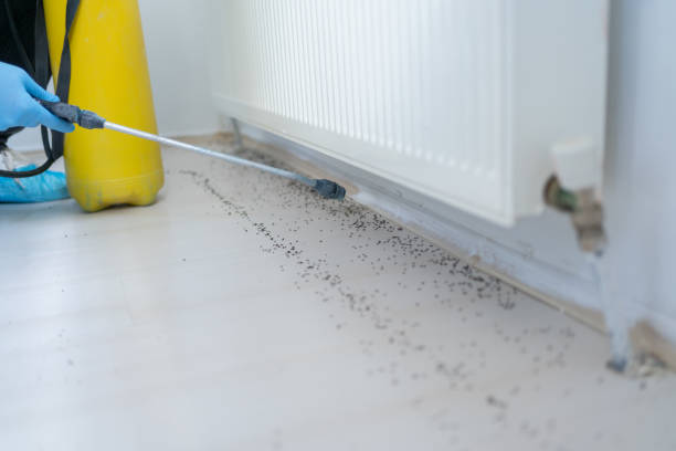 Best Pest Prevention Services  in Montrose, CO
